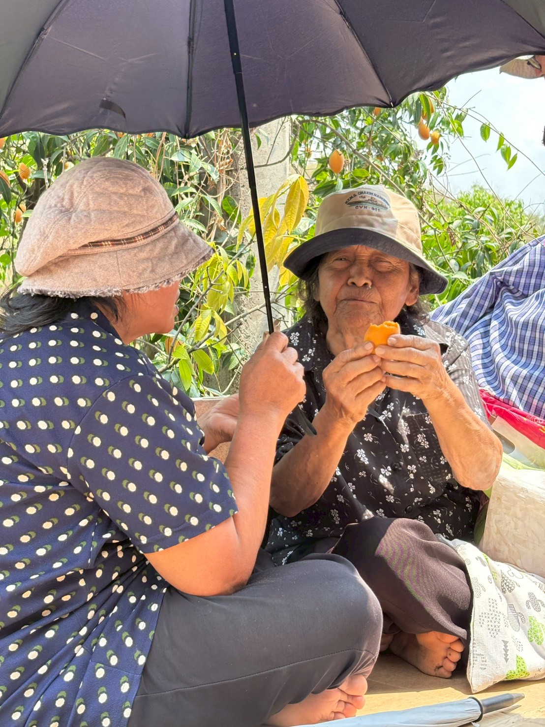 title - ส.ป.ก.นครปฐม จัดโครงการที่ดินพระราชทานในเขตปฏิรูปที่ดินจังหวัดนครปฐม ปีงบประมาณ พ.ศ. 2569 หลักสูตร การจัดการที่ดินและระบบการผลิตที่มีประสิทธิภาพ เพื่อเพิ่มโอกาสด้านการท่องเที่ยว ระยะที่ 3